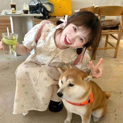 妻子变成小学生 热播封面